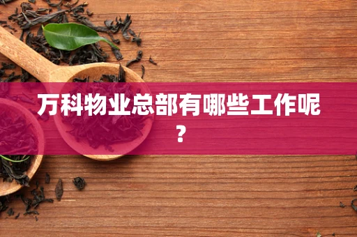 万科物业总部有哪些工作呢？