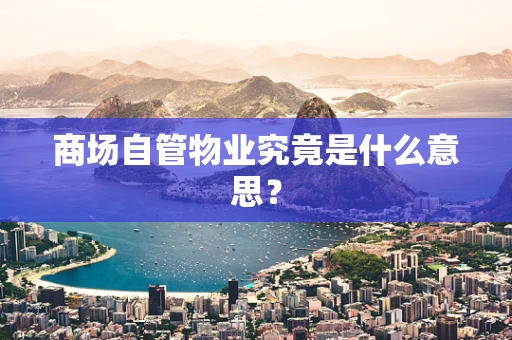 商场自管物业究竟是什么意思？