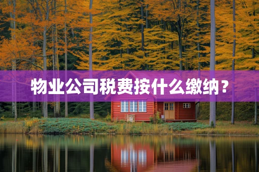 物业公司税费按什么缴纳？