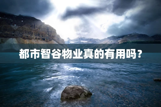 都市智谷物业真的有用吗？