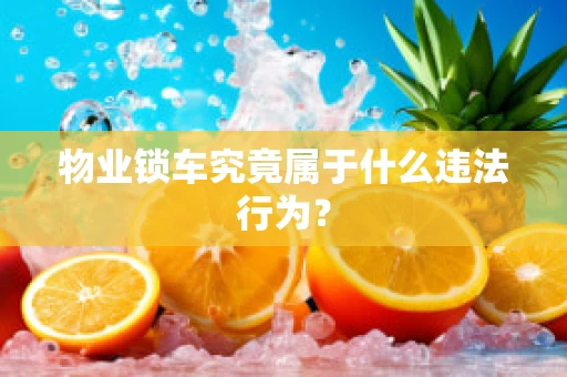 物业锁车究竟属于什么违法行为？