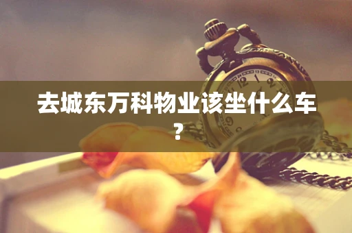 去城东万科物业该坐什么车？
