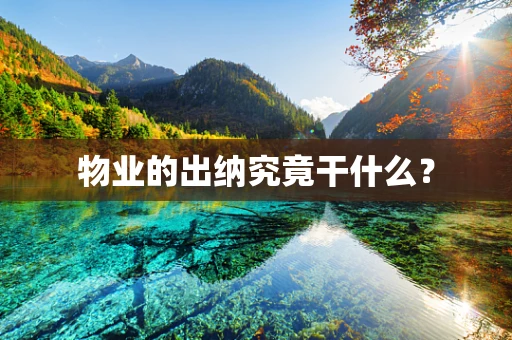物业的出纳究竟干什么？