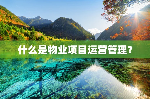 什么是物业项目运营管理？