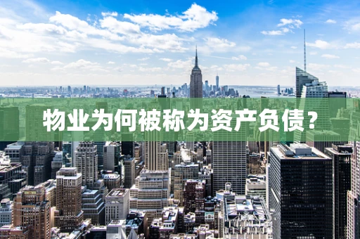 物业为何被称为资产负债？