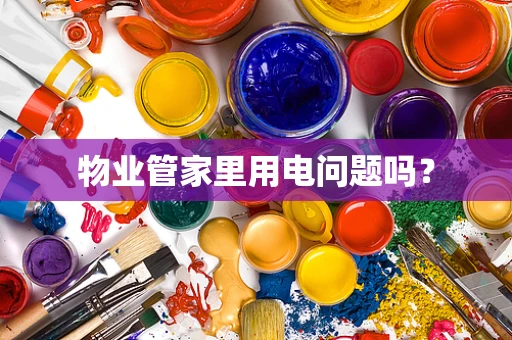 物业管家里用电问题吗？