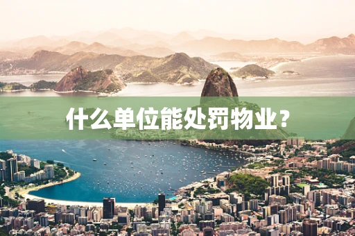 什么单位能处罚物业？