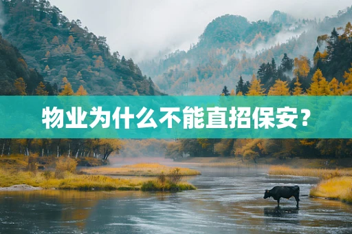物业为什么不能直招保安？