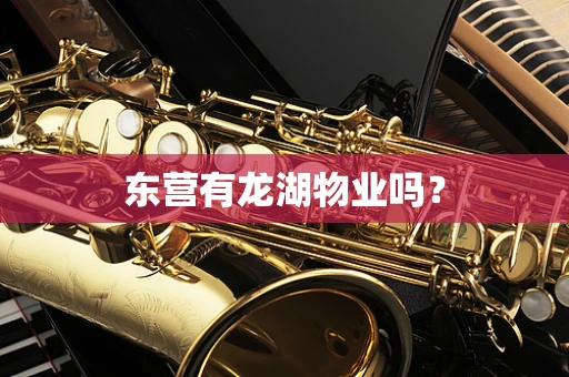 东营有龙湖物业吗？