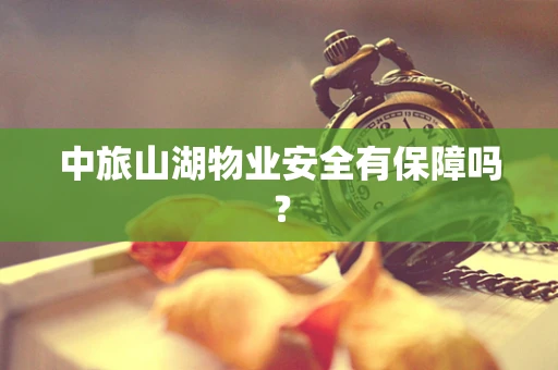 中旅山湖物业安全有保障吗？