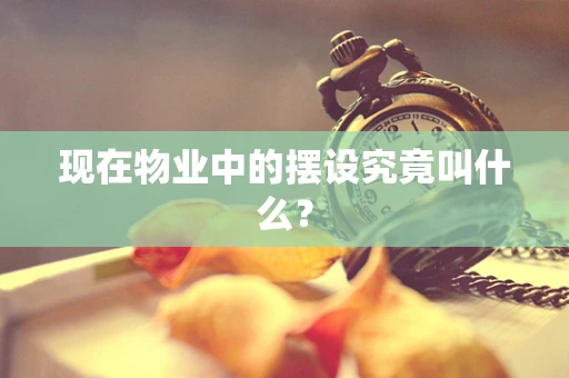 现在物业中的摆设究竟叫什么？