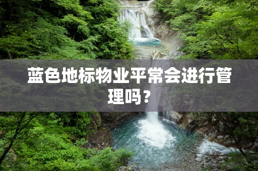 蓝色地标物业平常会进行管理吗？