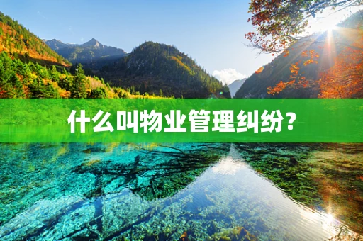 什么叫物业管理纠纷？