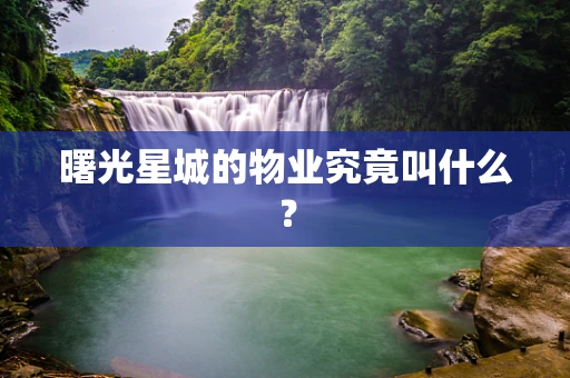 曙光星城的物业究竟叫什么？