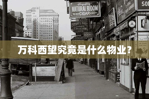 万科西望究竟是什么物业？