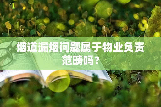 烟道漏烟问题属于物业负责范畴吗？