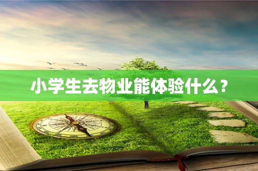 小学生去物业能体验什么？
