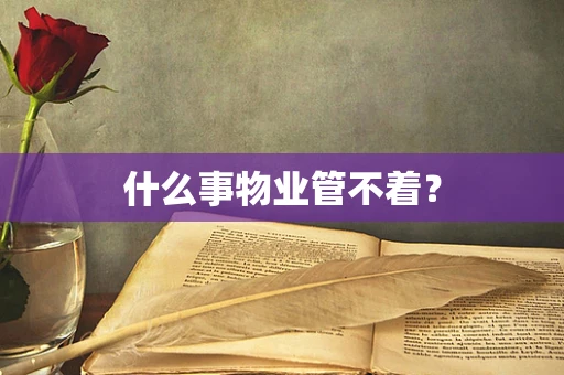 什么事物业管不着？
