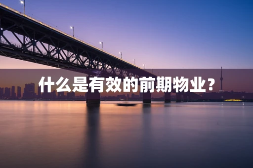 什么是有效的前期物业？