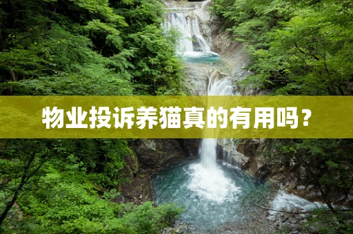 物业投诉养猫真的有用吗？