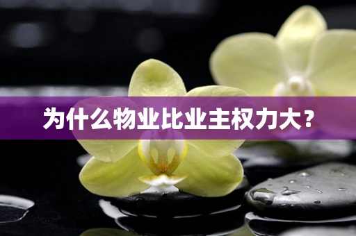 为什么物业比业主权力大？