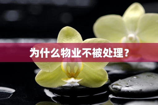 为什么物业不被处理？