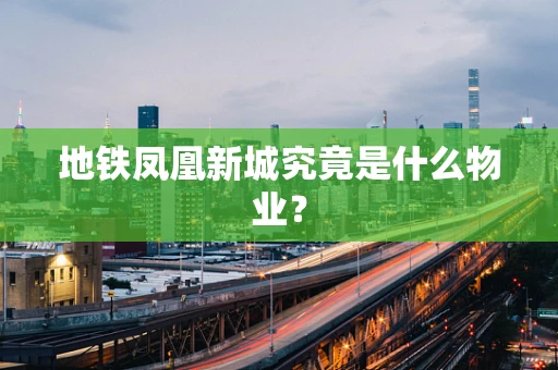 地铁凤凰新城究竟是什么物业？