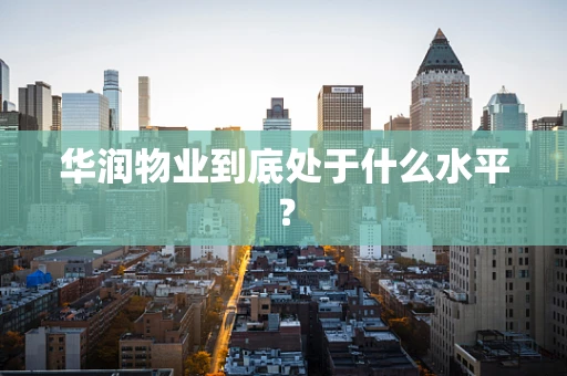 华润物业到底处于什么水平？
