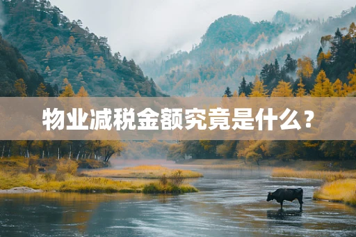 物业减税金额究竟是什么？