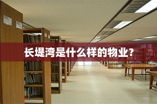 长堤湾是什么样的物业？