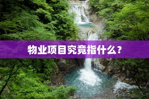 物业项目究竟指什么？
