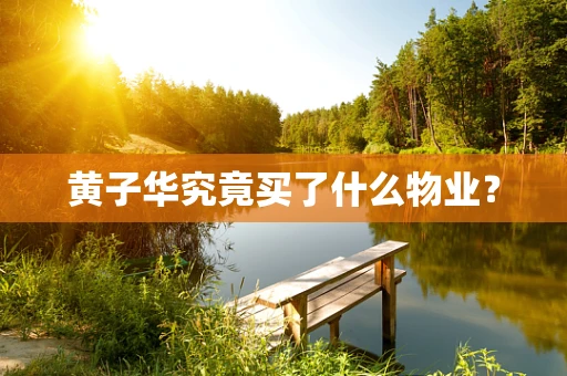 黄子华究竟买了什么物业？