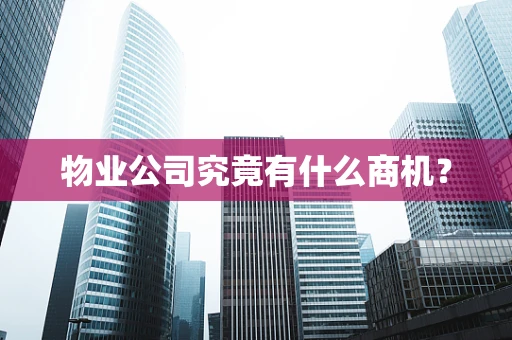 物业公司究竟有什么商机？