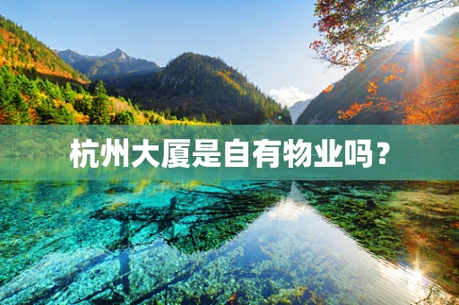 杭州大厦是自有物业吗？