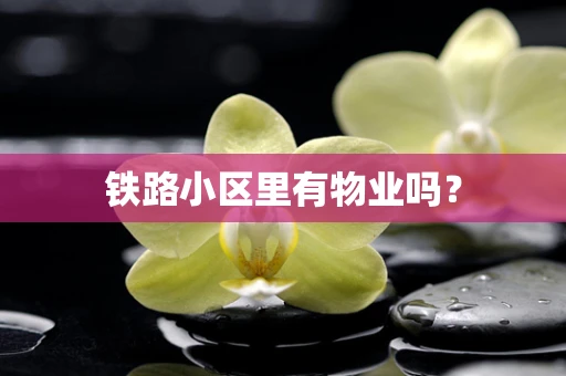 铁路小区里有物业吗？