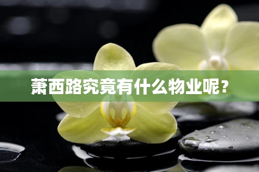 萧西路究竟有什么物业呢？