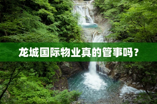 龙城国际物业真的管事吗？