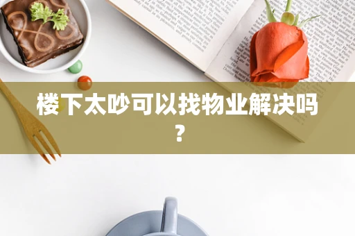 楼下太吵可以找物业解决吗？