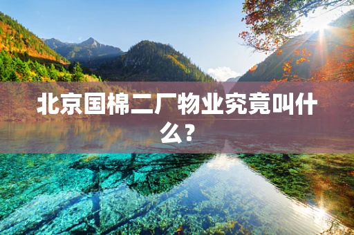 北京国棉二厂物业究竟叫什么？