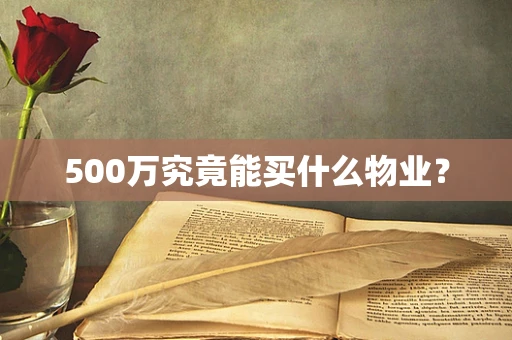 500万究竟能买什么物业？