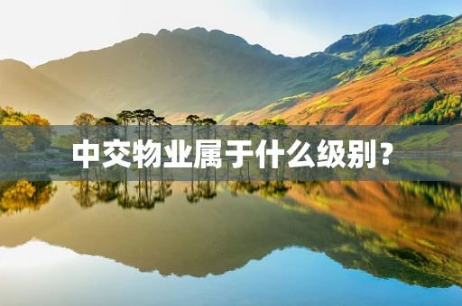 中交物业属于什么级别？