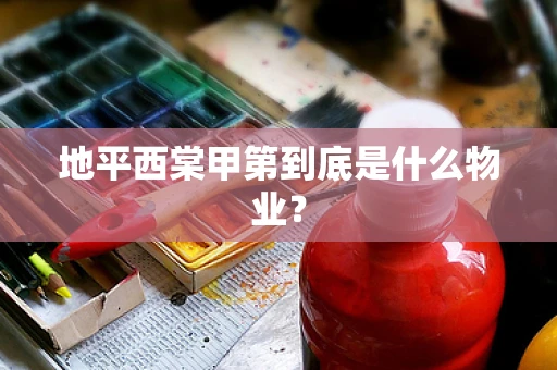 地平西棠甲第到底是什么物业？