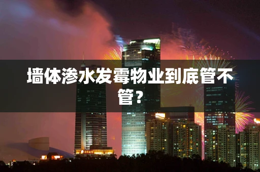 墙体渗水发霉物业到底管不管？