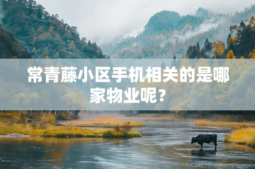 常青藤小区手机相关的是哪家物业呢？