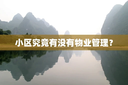 小区究竟有没有物业管理？