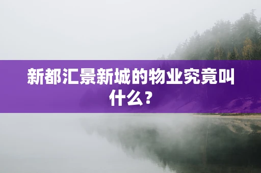 新都汇景新城的物业究竟叫什么？