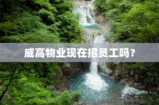 威高物业现在招员工吗？