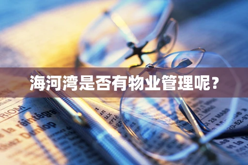海河湾是否有物业管理呢？