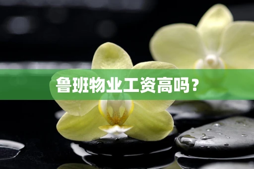 鲁班物业工资高吗？