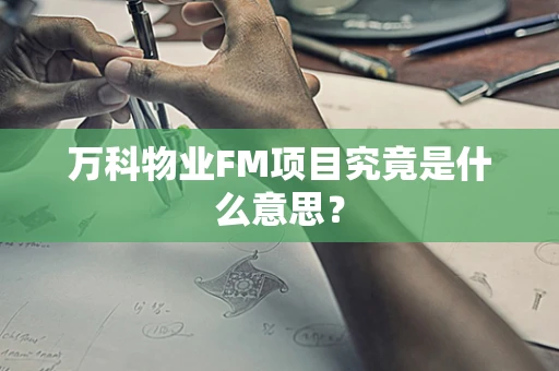 万科物业FM项目究竟是什么意思？